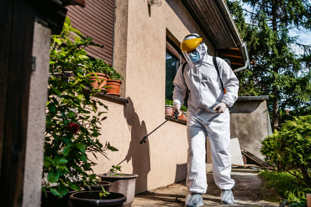 Best Pest Control Near Me in Piqua, OH