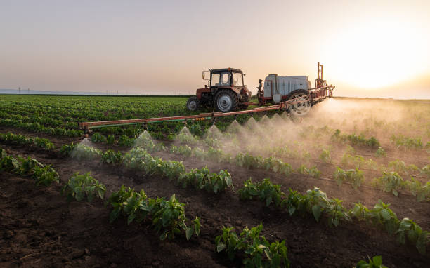 Best Commercial Pest Control Services  in Piqua, OH