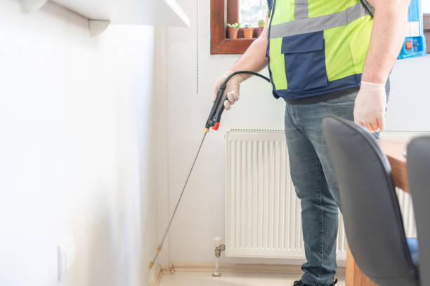 Best Termite Control Services  in Piqua, OH